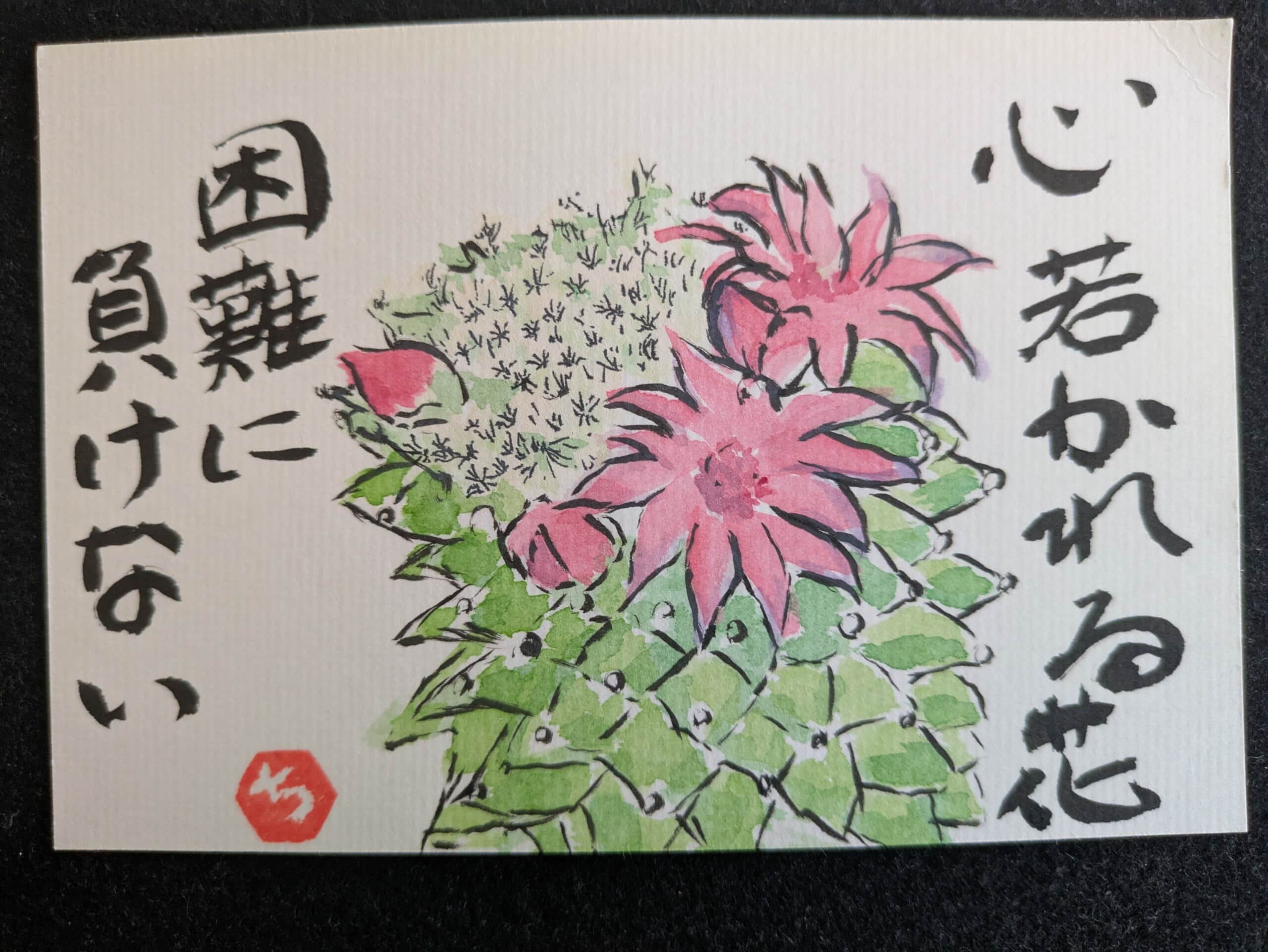 サボテンの花