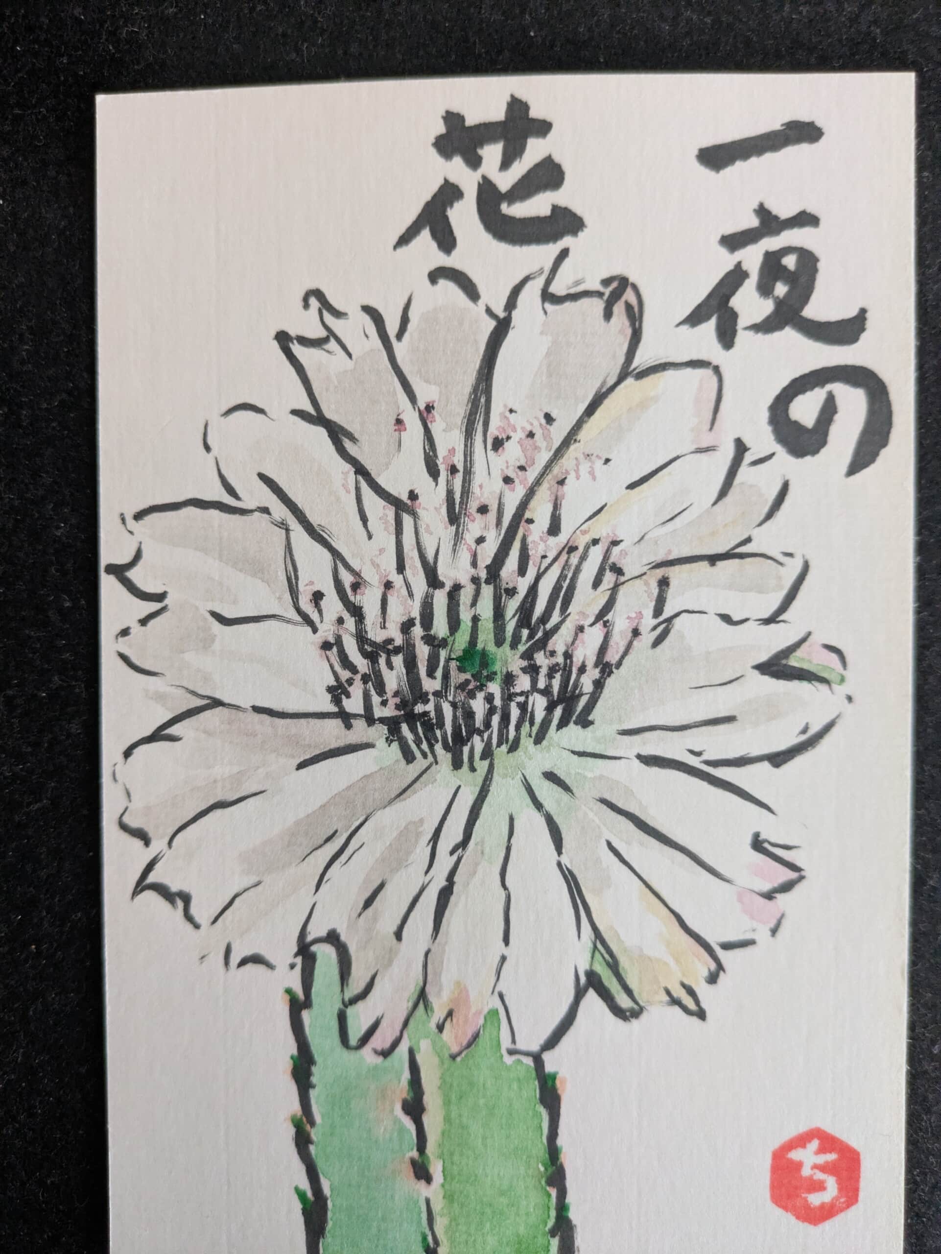 サボテンの花　白