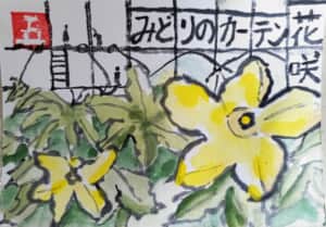 みどりのカーテン花咲