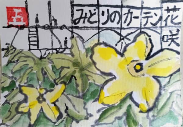 みどりのカーテン花咲
