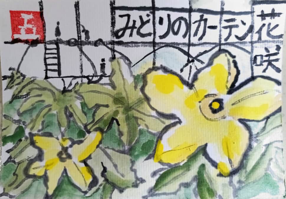 みどりのカーテン花咲