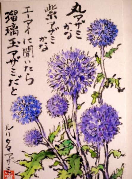 瑠璃玉あざみ