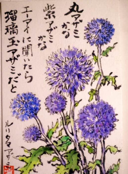 瑠璃玉あざみ