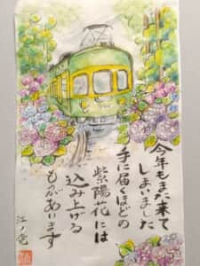 紫陽花
