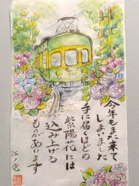 紫陽花