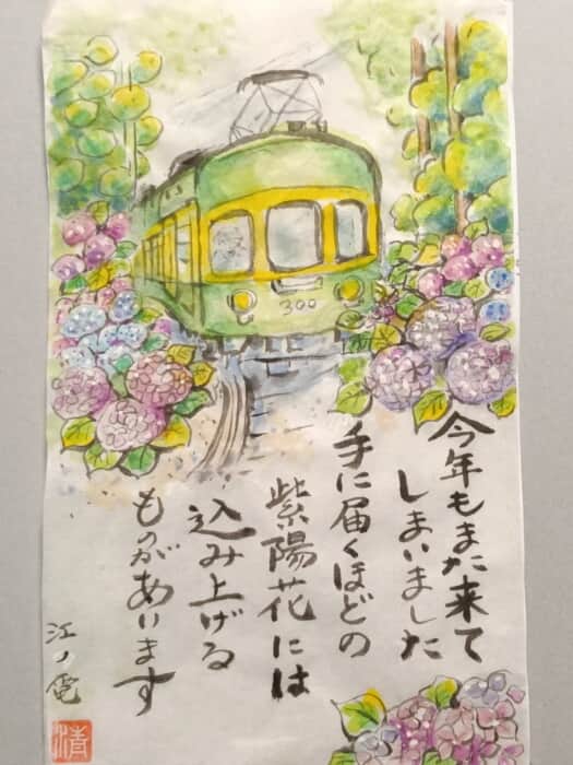紫陽花