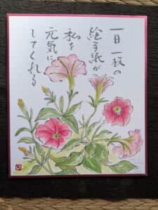 ペチュニア