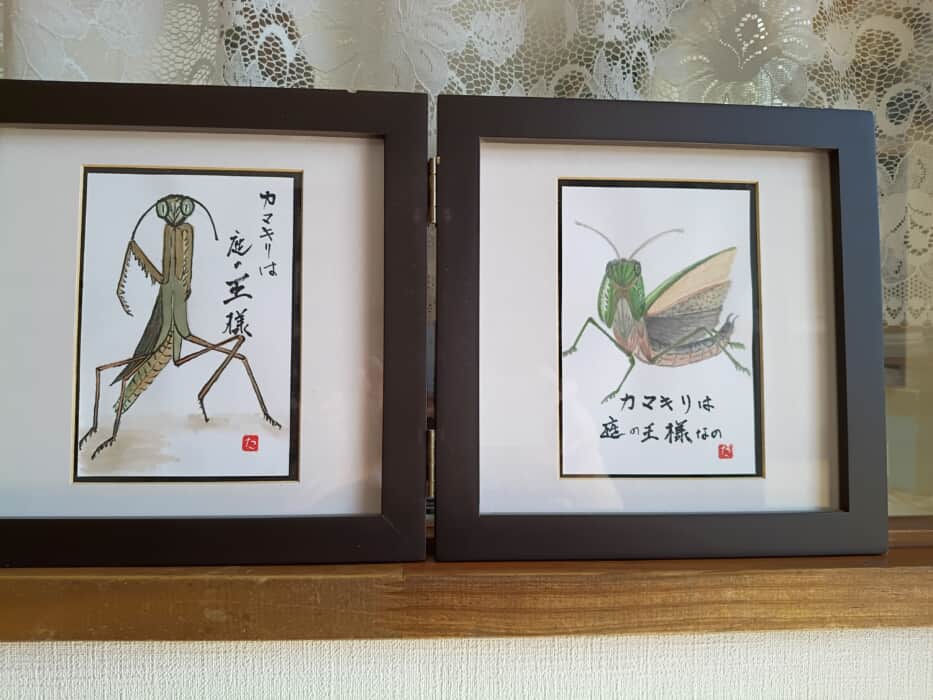8月