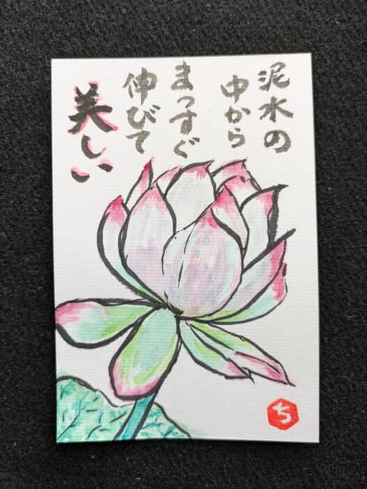 蓮の花