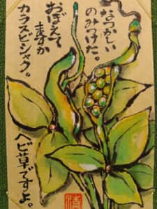 カラスビシャク