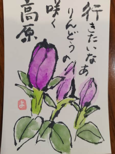 リンドウの咲く高原