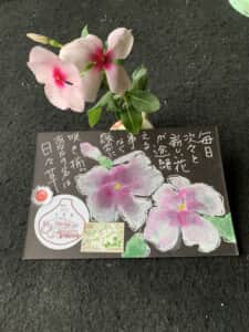 日々新しい花が咲くよ。