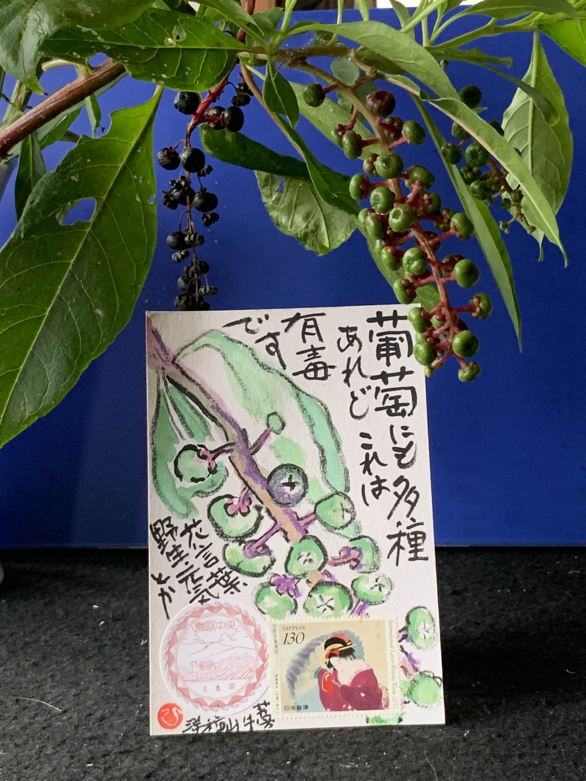 高価すぎの葡萄