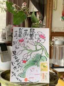気の毒な名前‼️