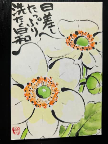 秋明菊