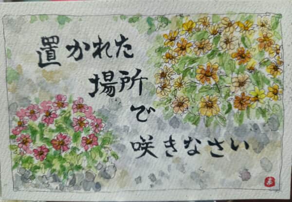 置かれた場所で咲きなさい~*