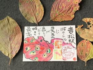 落ち葉が綺麗‼️