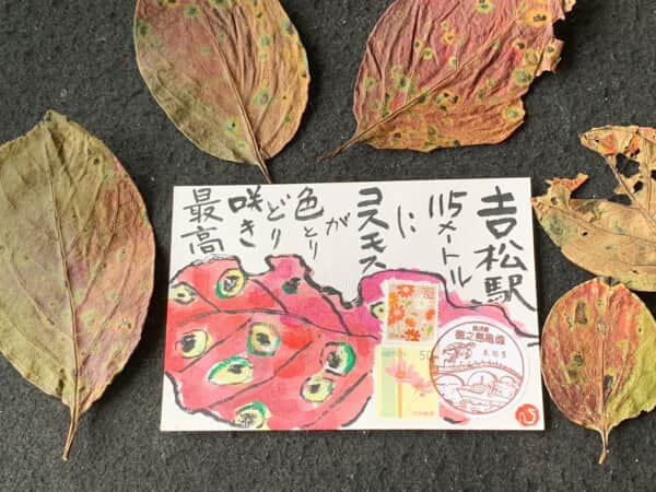 落ち葉が綺麗‼️