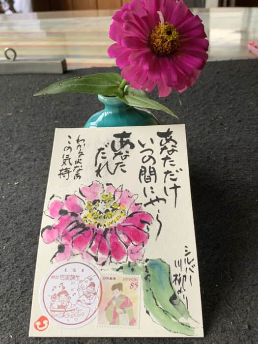 長生きの花だねー。