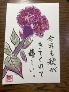 ケイトウ
