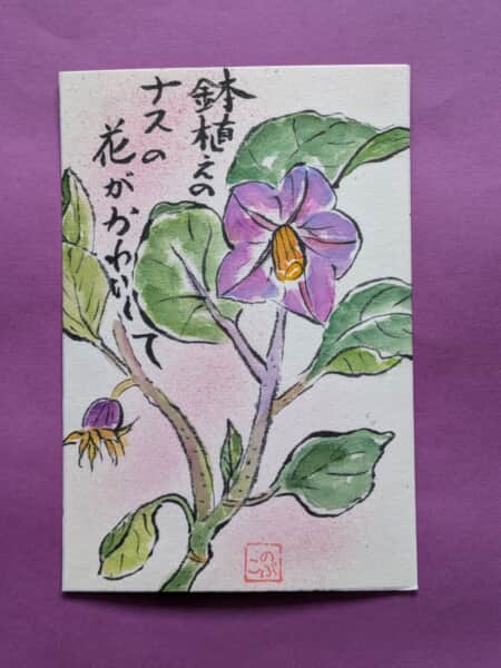 茄子の花